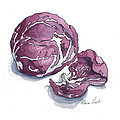  Refined Radicchio  by Maria Hunt
