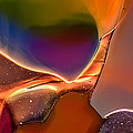 Rainbow Emperor Photograph by Omaste Witkowski Rainbow Emperor Photograph by Omaste Witkowski