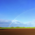 Rainbow In Field Photograph by Ikon Ikon Images Rainbow In Field Photograph by Ikon Ikon Images
