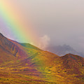 Rainbow Over Fall Tundra in Denali Photograph by Yva Momatiuk John Eastcott Rainbow Over Fall Tundra in Denali Photograph by Yva Momatiuk John Eastcott