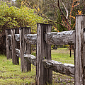 Raindrops On Rustic Wood Fence by Michelle Wrighton