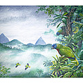 Rainforest Realm - St. Lucia Parrots by Christopher Cox Rainforest Realm - St. Lucia Parrots by Christopher Cox