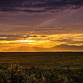 Rays Of Hope by Saija Lehtonen Rays Of Hope by Saija Lehtonen