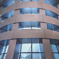 Reaching Up by Evelina Kremsdorf Reaching Up by Evelina Kremsdorf