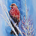 The Red Bird with pink flowers Painting by Jyotika Shroff The Red Bird with pink flowers Painting by Jyotika Shroff