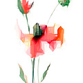 Red Flowers Digital Art by Rafael Salazar Red Flowers Digital Art by Rafael Salazar