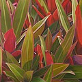 Red Green And Purple by Thu Nguyen Red Green And Purple by Thu Nguyen