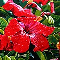Red Hibiscus Painting by Marionette Taboniar Red Hibiscus Painting by Marionette Taboniar