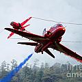 Red Pair Digital Art by Airpower Art Red Pair Digital Art by Airpower Art