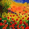 Red Poppies 45 Painting by Pol Ledent Red Poppies 45 Painting by Pol Ledent