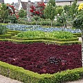 Red Salad And Roses - Chateau Villandry Garden by Christiane Schulze Art And Photography Red Salad And Roses - Chateau Villandry Garden by Christiane Schulze Art And Photography
