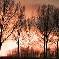 Reflection in red Photograph by Adriana Zoon Reflection in red Photograph by Adriana Zoon