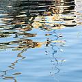 Reflections - white Photograph by Susie Rieple Reflections - white Photograph by Susie Rieple
