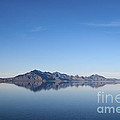 Reflections Photograph by Jackie Farnsworth Reflections Photograph by Jackie Farnsworth