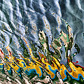 Reflections Photograph by Stelios Kleanthous Reflections Photograph by Stelios Kleanthous