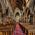 Remembrance Day Poppies by Adrian Evans Remembrance Day Poppies by Adrian Evans