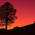 Reminiscing by Chad Dutson Reminiscing by Chad Dutson