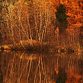 Restes d'Automne by Aimelle Restes d'Automne by Aimelle