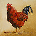 Rhode Island Red Rooster Painting by Crista Forest Rhode Island Red Rooster Painting by Crista Forest