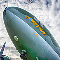 Right Under Your Nose 3774c by Guy Whiteley Right Under Your Nose 3774c by Guy Whiteley