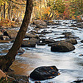 River Majesty Panorama Photograph by Leda Robertson
