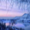 River Sunset Photograph by Theresa Tahara River Sunset Photograph by Theresa Tahara