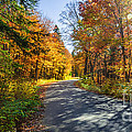 Road through fall forest Photograph by Elena Elisseeva Road through fall forest Photograph by Elena Elisseeva