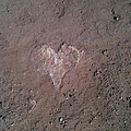 Rock Heart Photograph by Claudia Goodell Rock Heart Photograph by Claudia Goodell