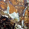 Rockscape 10 Photograph by Linda Bailey Rockscape 10 Photograph by Linda Bailey