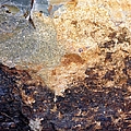 Rockscape 2 Photograph by Linda Bailey Rockscape 2 Photograph by Linda Bailey