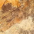 Rockscape 7 Photograph by Linda Bailey Rockscape 7 Photograph by Linda Bailey
