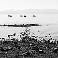 Rocky Beach by Chad Dutson Rocky Beach by Chad Dutson