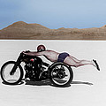 Roland Rollie Free Photograph by Mark Rogan Roland Rollie Free Photograph by Mark Rogan