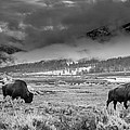 Rolling Thunder Photograph by Kevin Dietrich