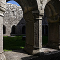 Ross Errilly Franciscan Friary 1351 by Panoramic Images Ross Errilly Franciscan Friary 1351 by Panoramic Images