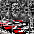 Row of Red Rowing Boats Photograph by Kaye Menner
