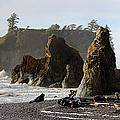 Ruby Beach Photograph by David Andersen Ruby Beach Photograph by David Andersen