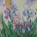 Ruffled Effect by Heather Gallup Ruffled Effect by Heather Gallup
