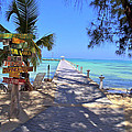 Rum Point Photograph by Carey Chen Rum Point Photograph by Carey Chen