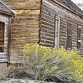 Rustic Building by Wendy Elliott Rustic Building by Wendy Elliott