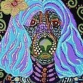 Sadie by Kelly Nicodemus-Miller