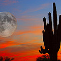 Saguaro Full Moon Sunset Photograph by James BO Insogna Saguaro Full Moon Sunset Photograph by James BO Insogna