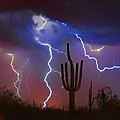 Saguaro Lightning Nature Fine Art Photograph by James BO Insogna Saguaro Lightning Nature Fine Art Photograph by James BO Insogna