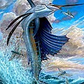 Sailfish And Flying Fish by Terry Fox Sailfish And Flying Fish by Terry Fox