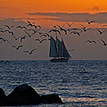 Sailing Photograph by Jennifer Robin Sailing Photograph by Jennifer Robin