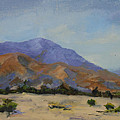 Mt San Jacinta at Sunrise by Maria Hunt