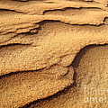 Sand Photograph by Amanda Mohler Sand Photograph by Amanda Mohler