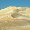 Sand Dune on Cactus Beach South Australia Photograph by Yva Momatiuk and John Eastcott Sand Dune on Cactus Beach South Australia Photograph by Yva Momatiuk and John Eastcott