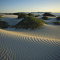Sand Dunes Magdalena Island Baja Photograph by Tui De Roy Sand Dunes Magdalena Island Baja Photograph by Tui De Roy