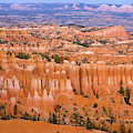 Sandstone Hoodoos Bryce Canyon Natl Park by Sandstone Hoodoos Bryce Canyon Natl Park by